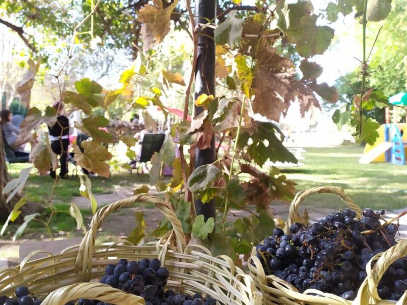 Rio Piedras Finca & Bodega
