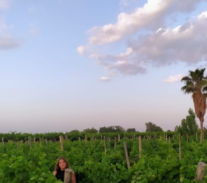 Rio Piedras Finca & Bodega