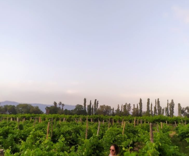 Rio Piedras Finca & Bodega