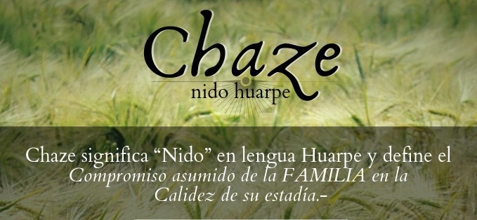 CHAZE (nido huarpe) Complejo Privado de Departamentos amoblados de Alquiler Temporario
