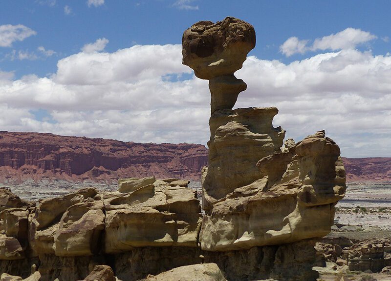 Parque Provincial Ischigualasto - Valle Fértil